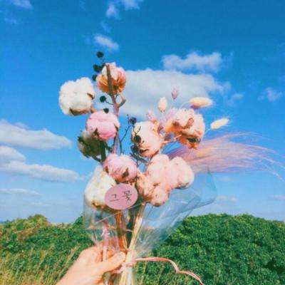 yaboapp手机app下载